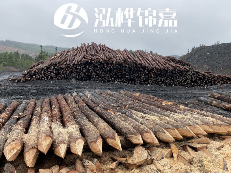 6米長松木樁有哪些作用，多少錢一根？