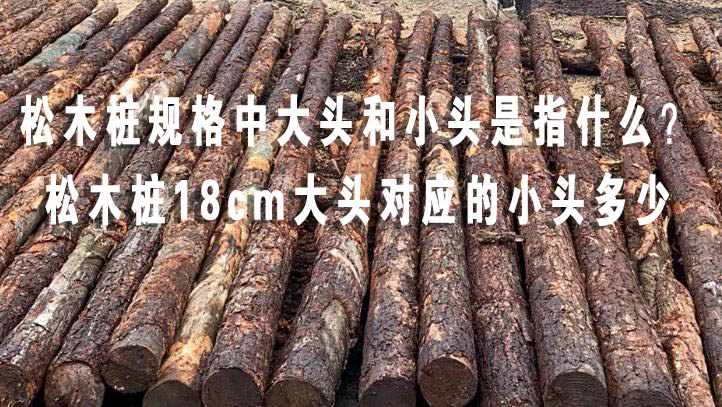 松木樁規格中大頭和小頭是指什么？松木樁18cm大頭對應的小頭多少