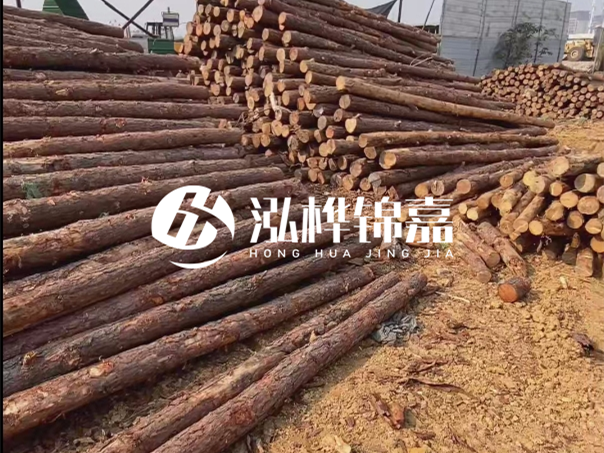 河道木樁施工遇到淤泥怎么辦？打多深才能防沖刷？