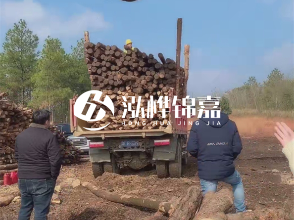 防腐木樁價格比普通木樁貴多少？防腐木樁有哪些處理方式？