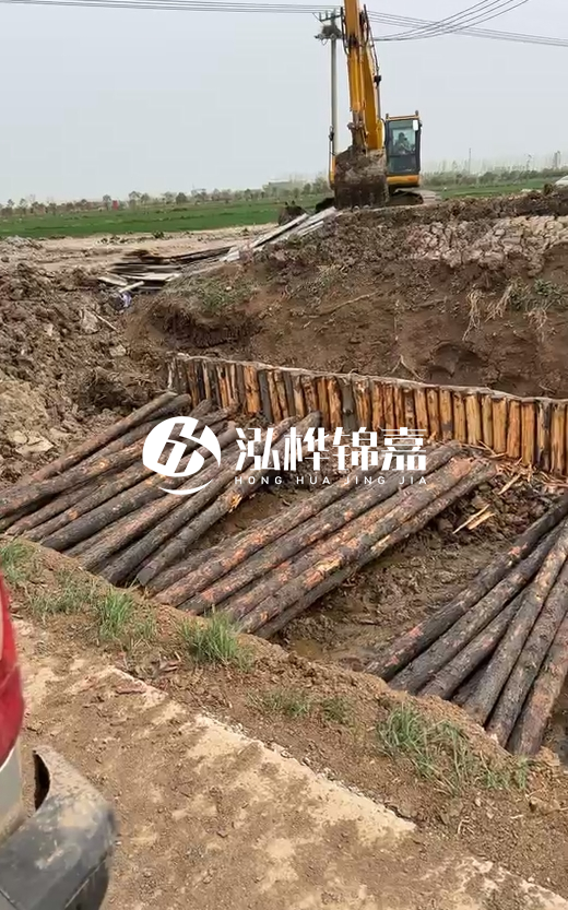 4米直徑12-13油松批發價最低多少？報價含稅含運嗎？