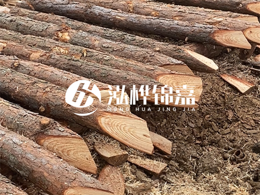 松木樁削尖的費用怎么算？按根收費還是包含在單價里？