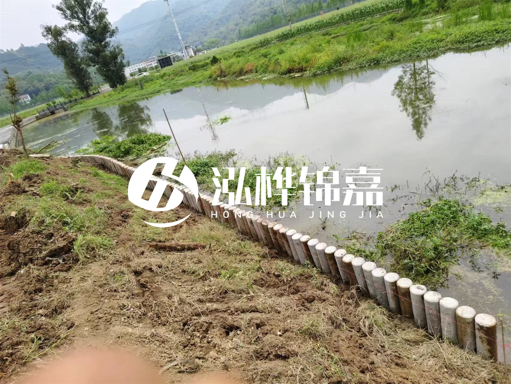 松木樁加固河道與水泥樁對比如何？哪一種更加適合您？
