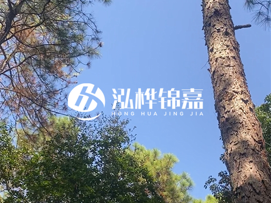 松木樁廠家的供貨能力強不強-怎么才能聯系到松木樁廠家？