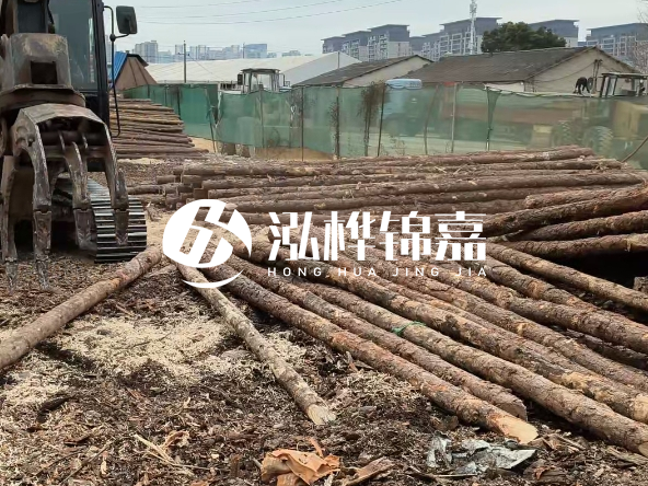 2 米長(zhǎng)度松木樁多少錢？松木樁 10 一 15 公分價(jià)格？