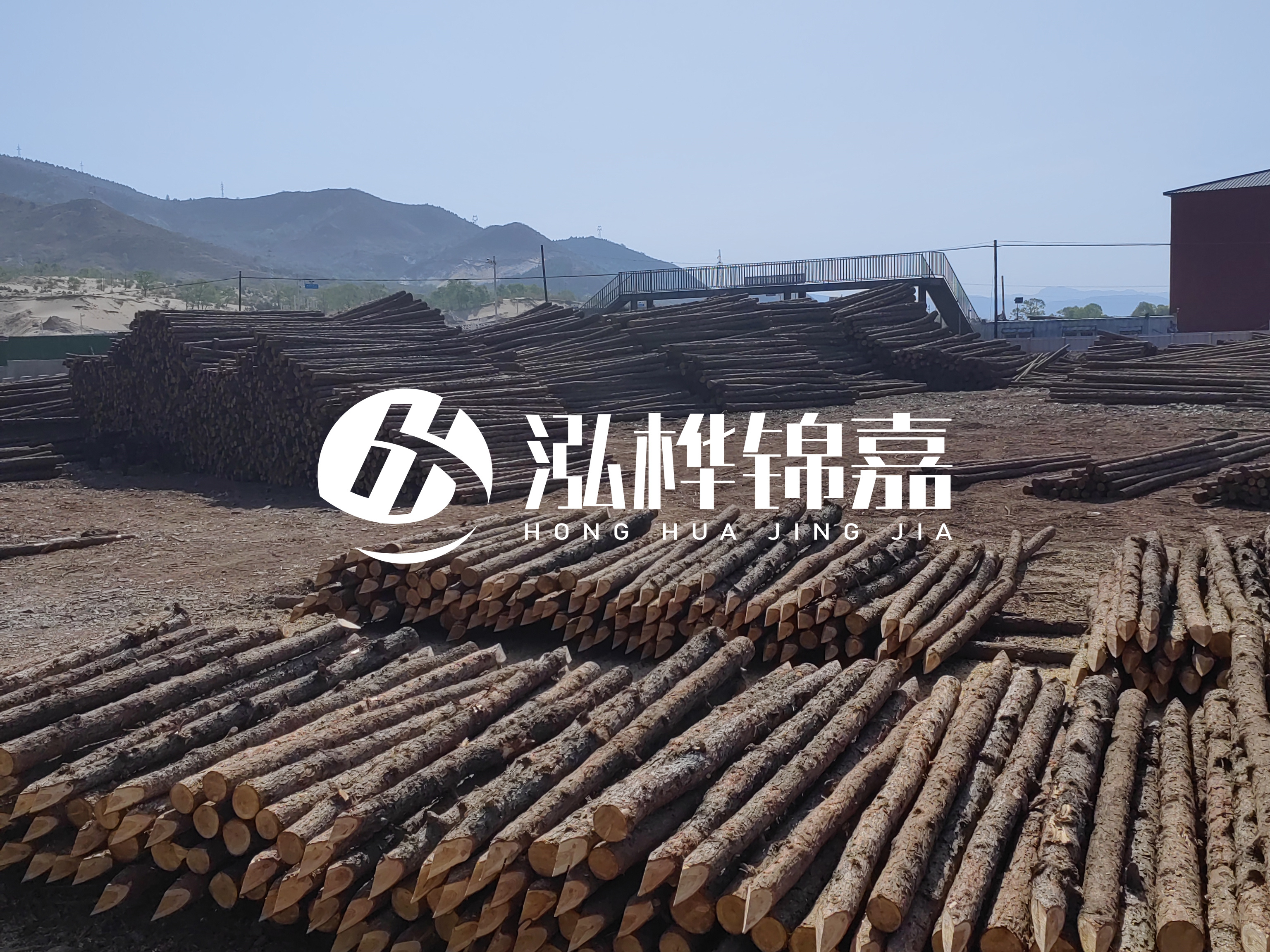 江蘇打樁木源頭廠(chǎng)家泓樺錦嘉-4米打樁木大頭14-16小頭一般多少？