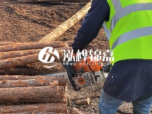 河道打木樁多少錢(qián)一根？5米直徑10松木樁打樁多少錢(qián)？