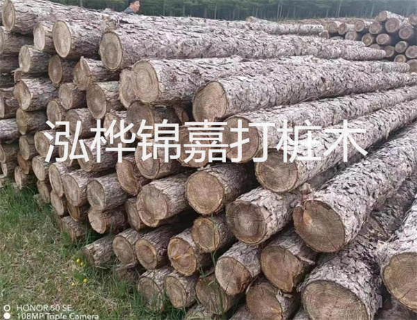 高效修補，保駕護航！水泥路面高強度修補料為您解決煩惱！
