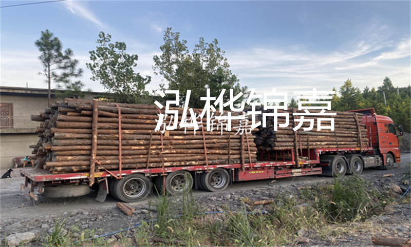 松木樁護(hù)岸施工難點是什么
