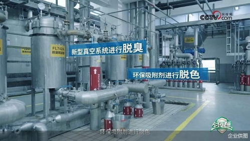 央視網走進多力安心工廠 探尋降低油煙技術專利奧秘，見證健康廚房技術推廣